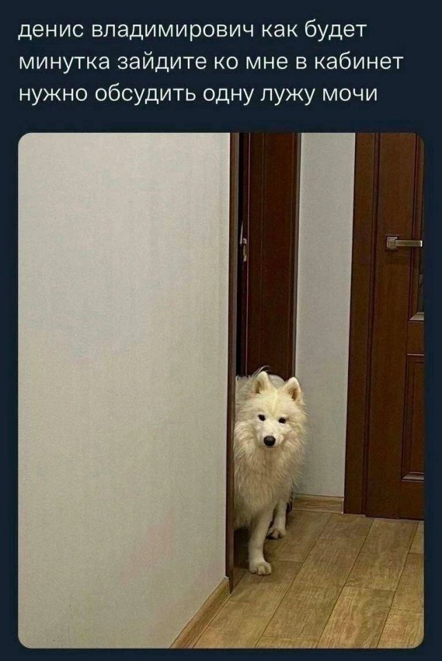 Лучшие шутки и мемы - 0.05.2023