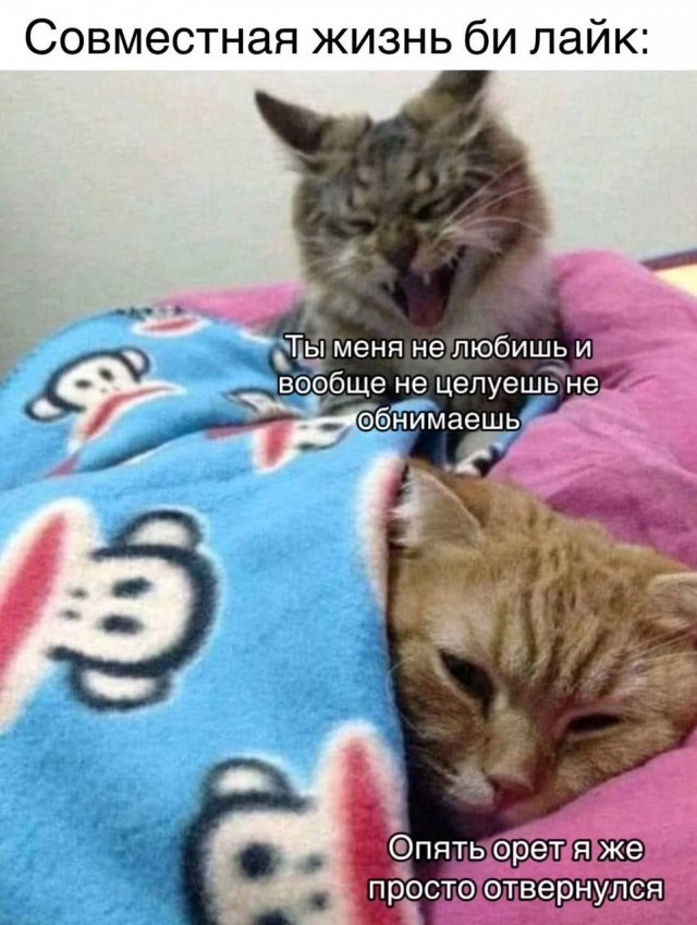 Лучшие шутки и мемы - 0.05.2023