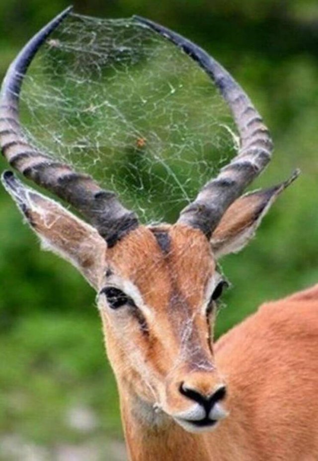 Подборка картинок. Вечерний выпуск - 07.09.2023