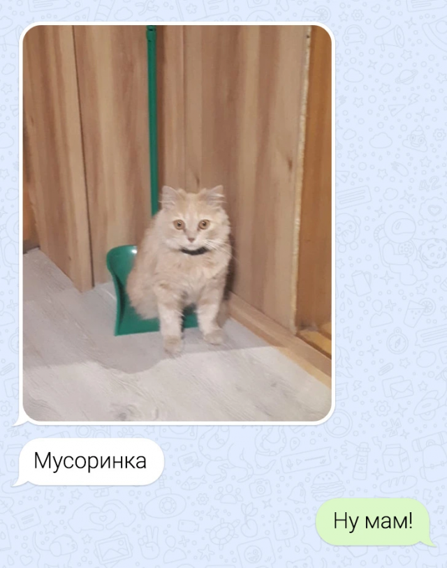 Подборка забавных переписок