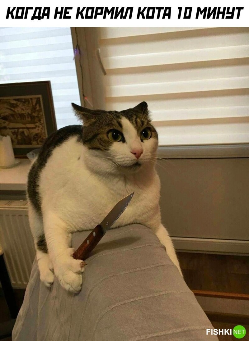 Комментарии и картинки из соцсетей. Свежак за 11 сентября