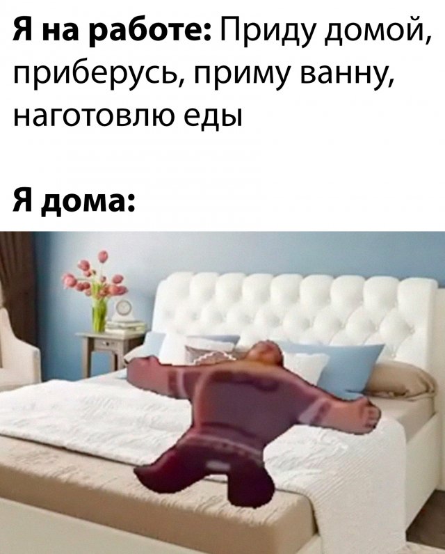 Подборка картинок. Вечерний выпуск - 11.09.2023