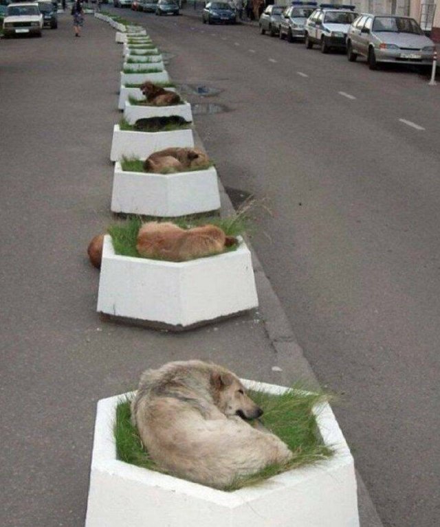 Подборка картинок. Вечерний выпуск - 11.09.2023