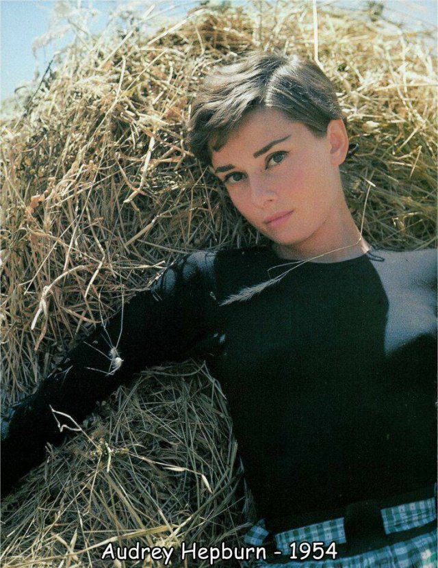 Подборка картинок. Вечерний выпуск - 11.09.2023