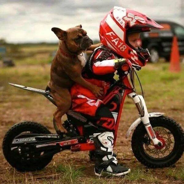 Подборка картинок. Вечерний выпуск - 11.09.2023