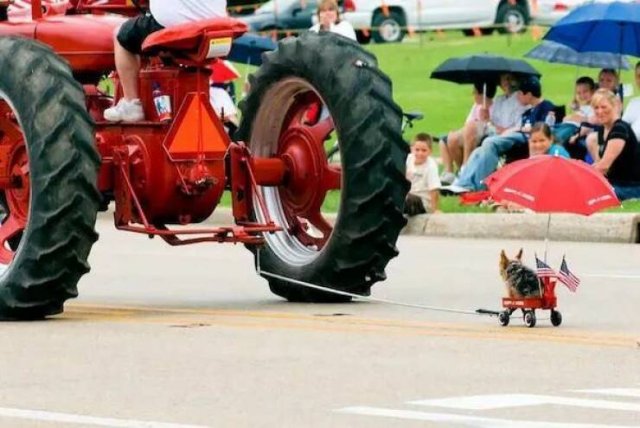 Подборка картинок. Вечерний выпуск - 11.09.2023