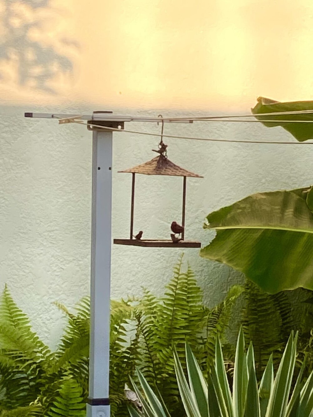 20. Это не океан, а просто стена 20. Это не океан, а просто стена