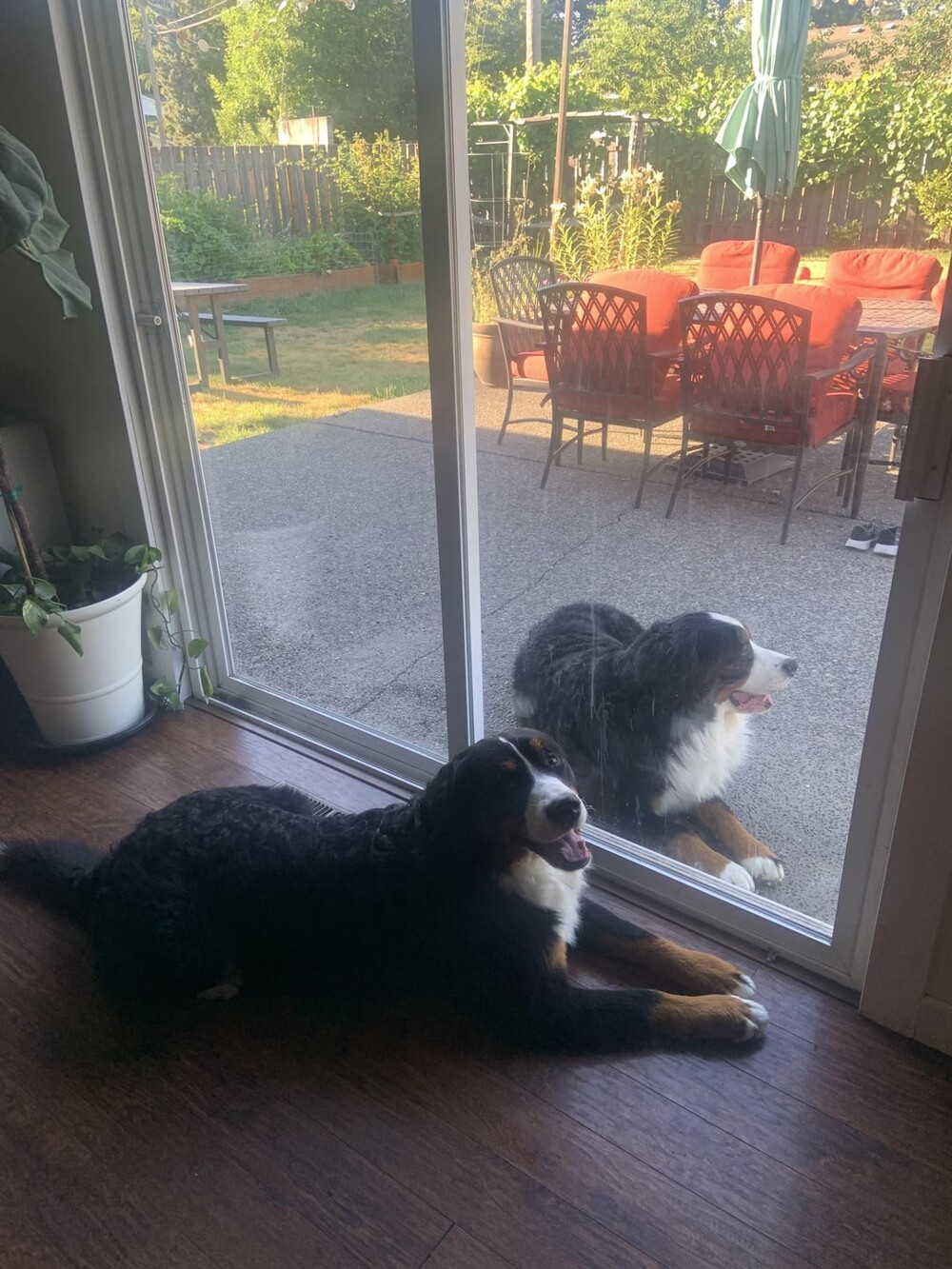 22. Это не отражение 22. Это не отражение