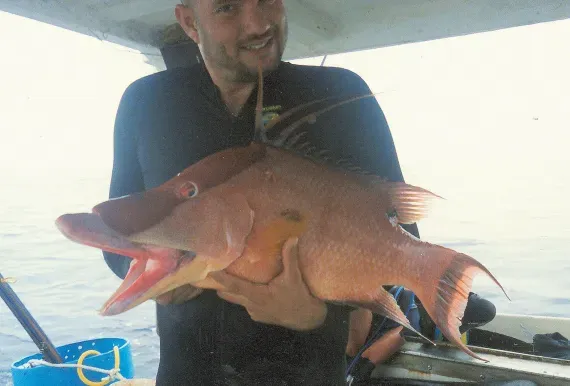 Длиннопёрый губан: Рыба-гермафродит буквально «видит» кожей, чтобы менять цвет своей шкуры. Как она это делает?