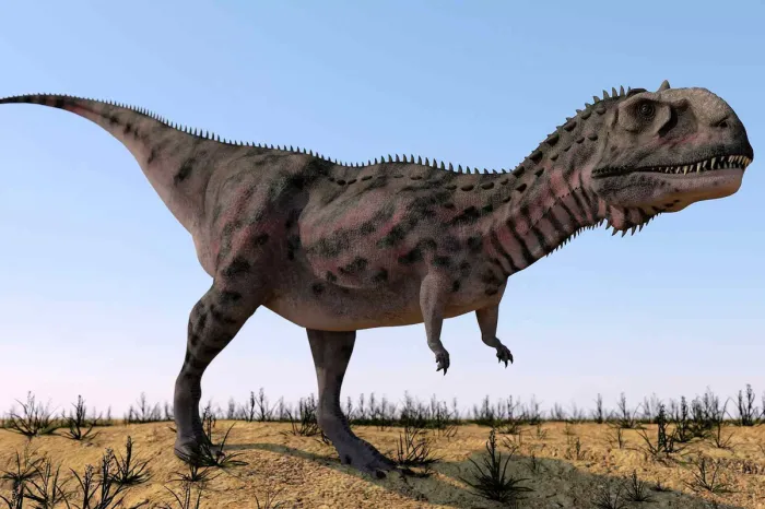 Майюнгазавр: Верховный владыка древнего Мадагаскара. Хищный гигант-единорог подчинил себе целый остров