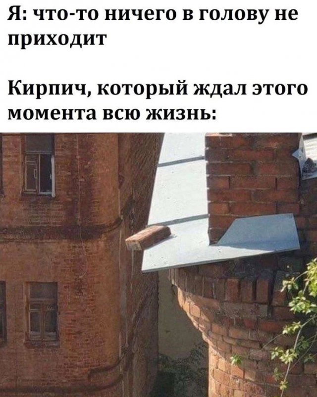 Лучшие шутки и мемы - 20.09.2023