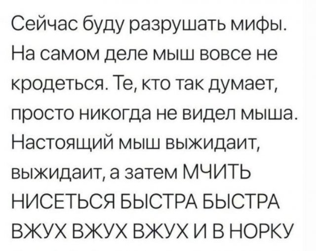 Лучшие шутки и мемы - 20.09.2023
