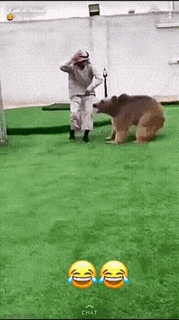 Подборка гифок -  25.09.2023