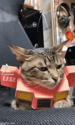 Подборка гифок -  25.09.2023