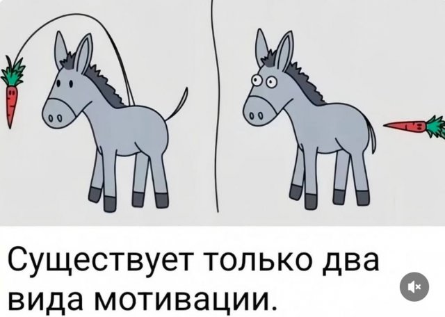 Картинки со смыслом - 26.12.2024