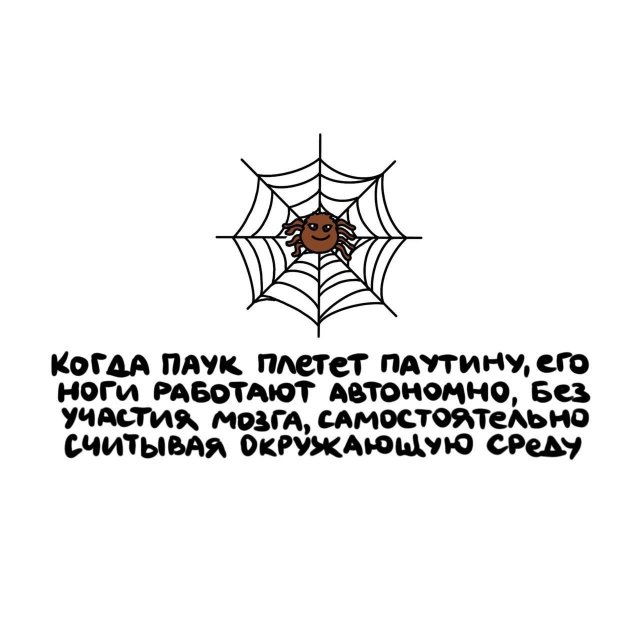 Интересные факты на все случаи жизни