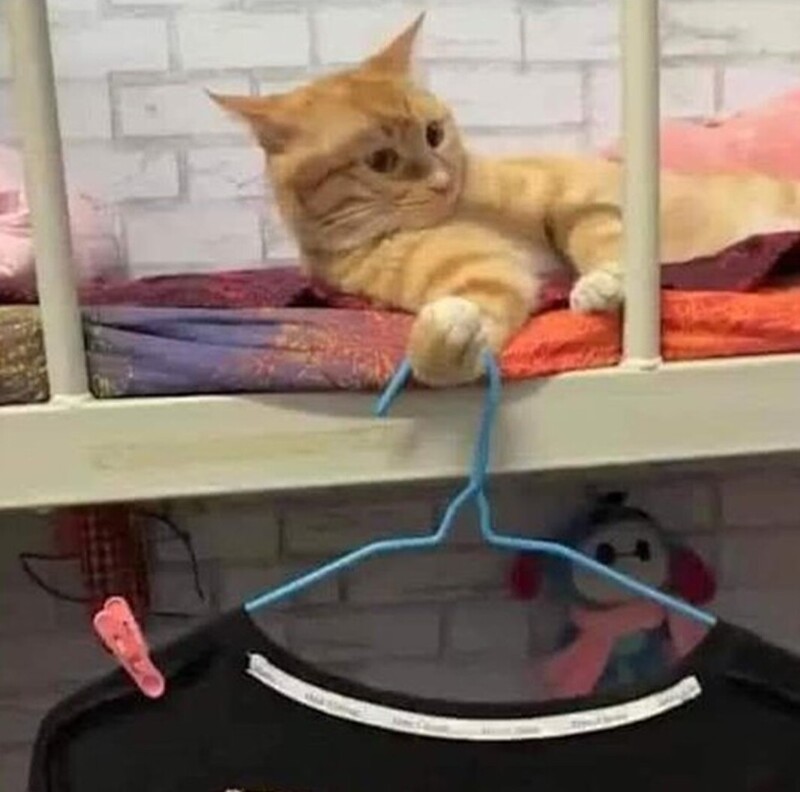 5. Кто, если не я?