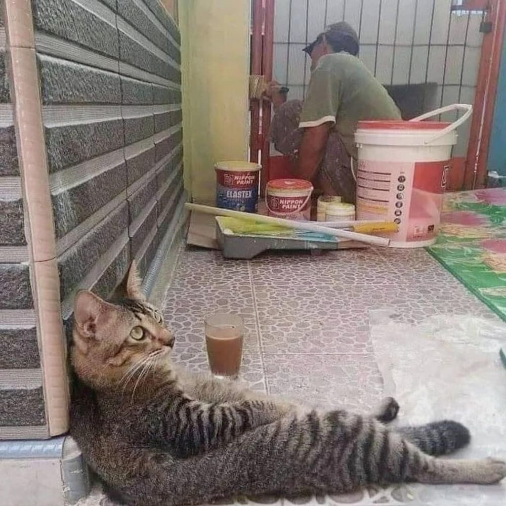 7. Контролёр - это тяжело