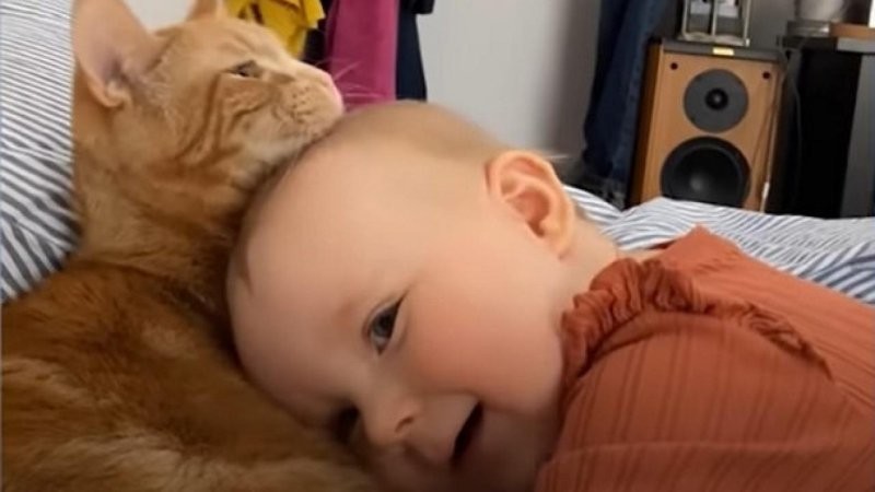 4. Заботливее няни не найти