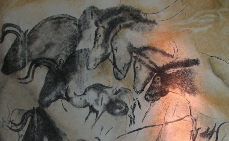 Пещера Шове. Животные на стене пещеры Шове. Источник изображения: wikipedia.org. Фото.