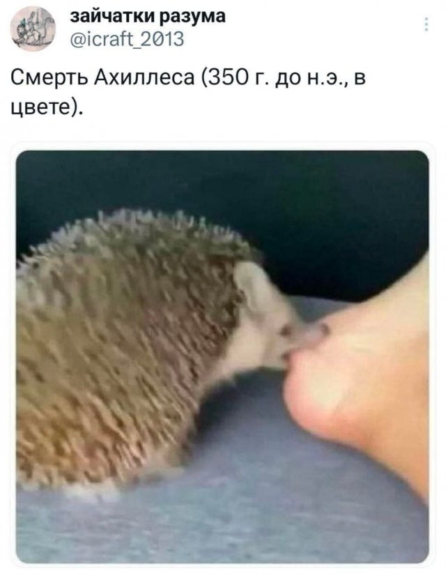 Подборка забавных твитов обо всем