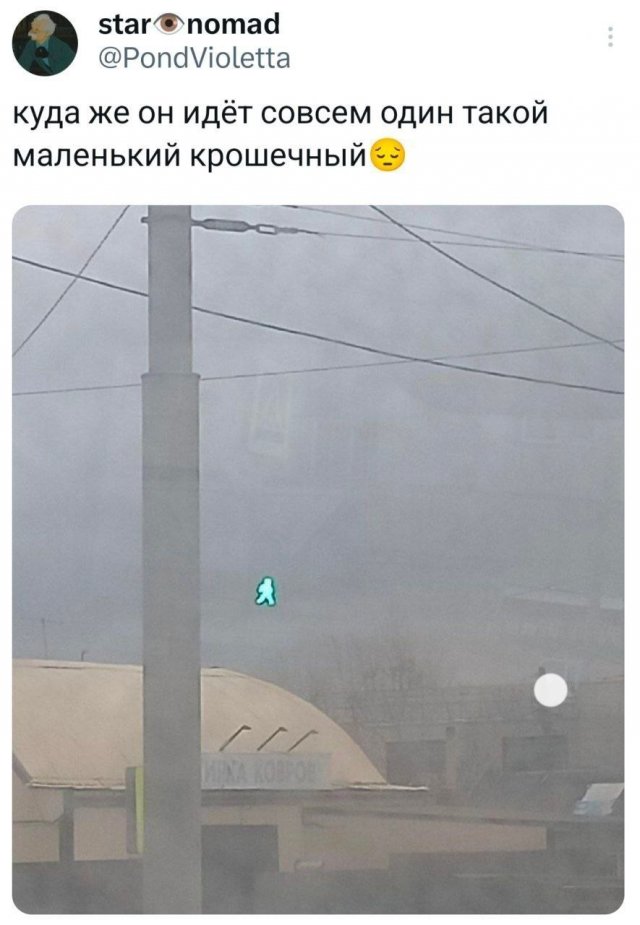 Подборка забавных твитов обо всем