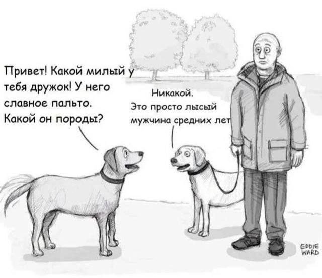 Лучшие шутки и мемы из Сети - 28.02.2025