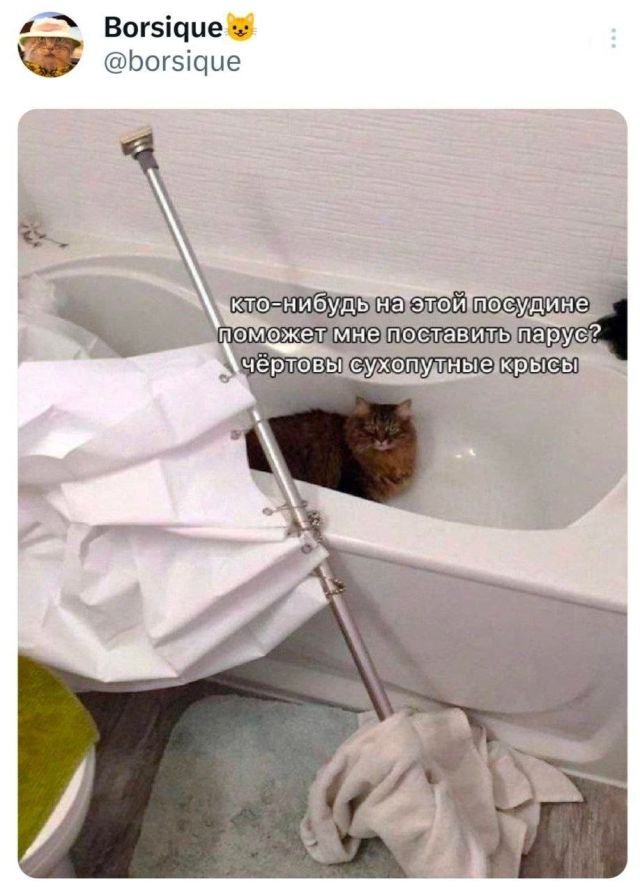 Подборка забавных твитов обо всем