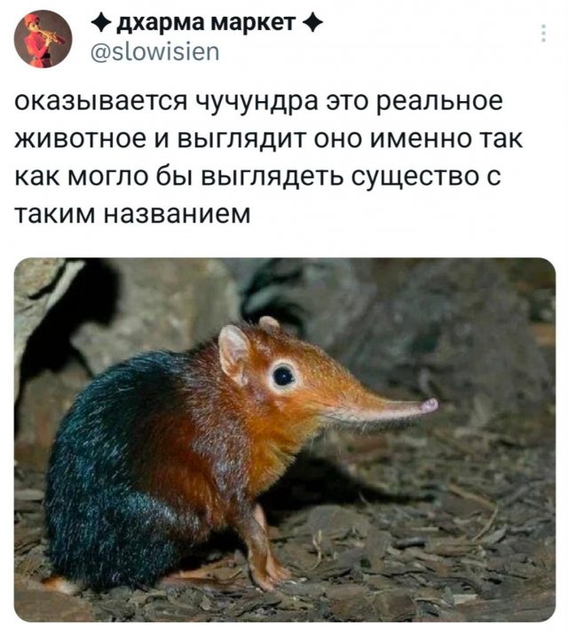 Подборка забавных твитов обо всем