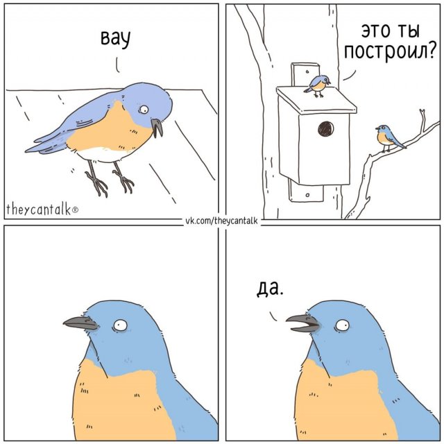 Смешные мемы - 03.03.2025