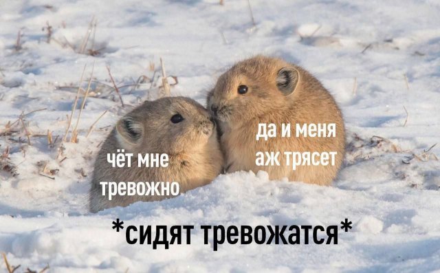 Смешные мемы - 03.03.2025