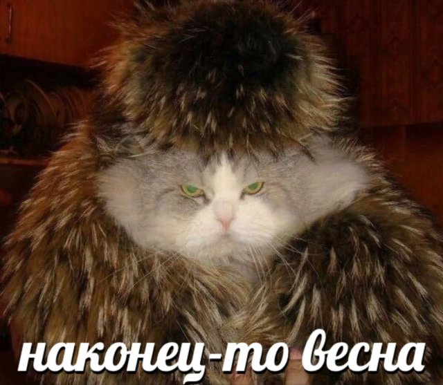 Смешные мемы - 03.03.2025