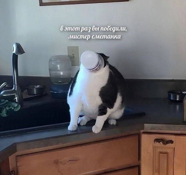 Смешные мемы - 03.03.2025