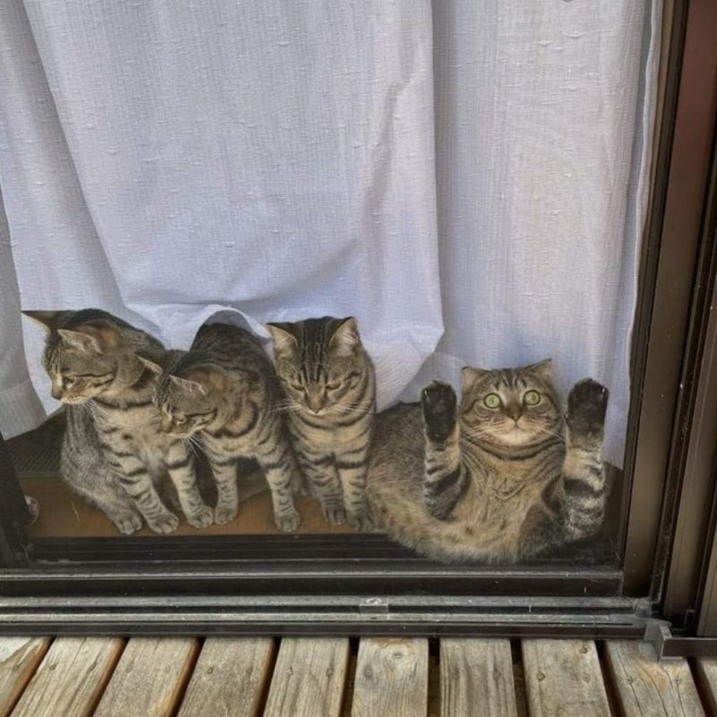 8. Когда ты другой 8. Когда ты другой