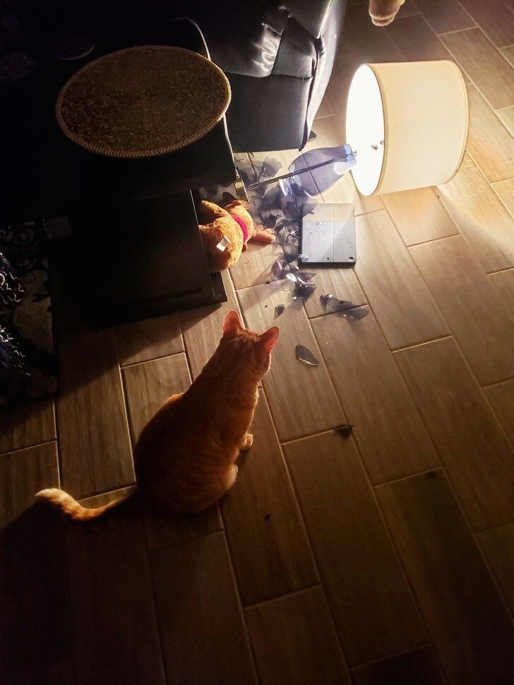 6. Мелкие неприятности 6. Мелкие неприятности