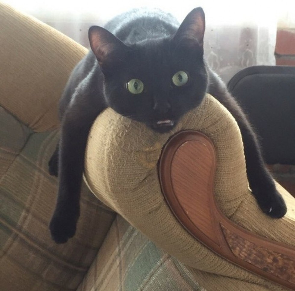 22. Такие, брат, дела 22. Такие, брат, дела