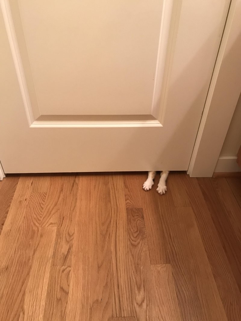 15. Ты меня не забывай 15. Ты меня не забывай