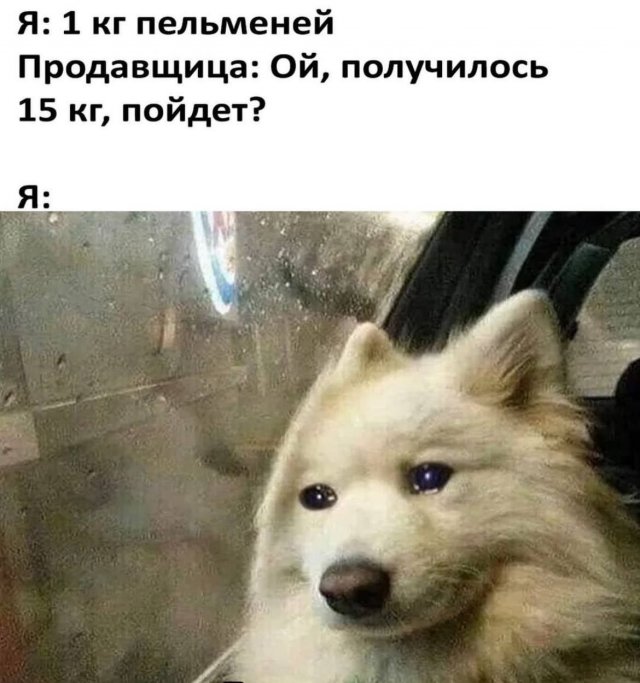 Лучшие шутки и мемы из Сети - 05.03.2025