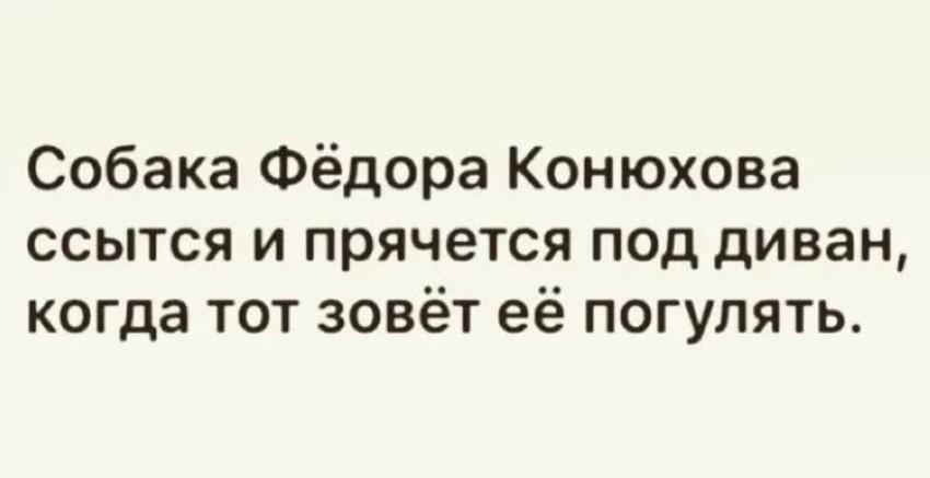 Веселые картинки