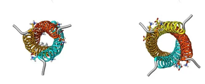 Учёные обнаружили в человеке неизвестную форму жизни