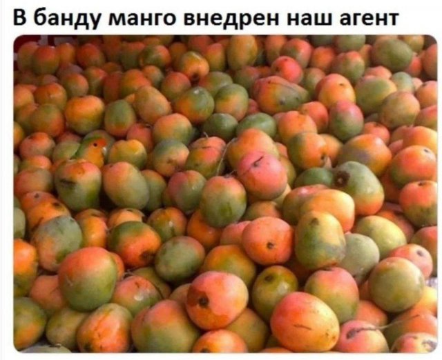 Лучшие шутки и мемы из Сети - 20.03.2025