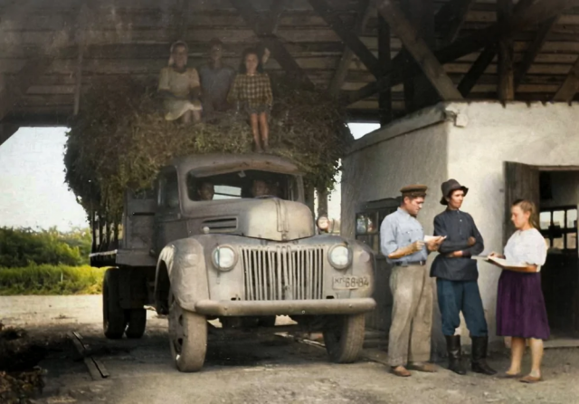 Прием шалфея от колхозов для переработки на заводе. Совхоз-завод эфиромасличных культур &amp;quot;Элит&amp;quot; Кошехабльского района, Адыгейская АО, 1949 год.