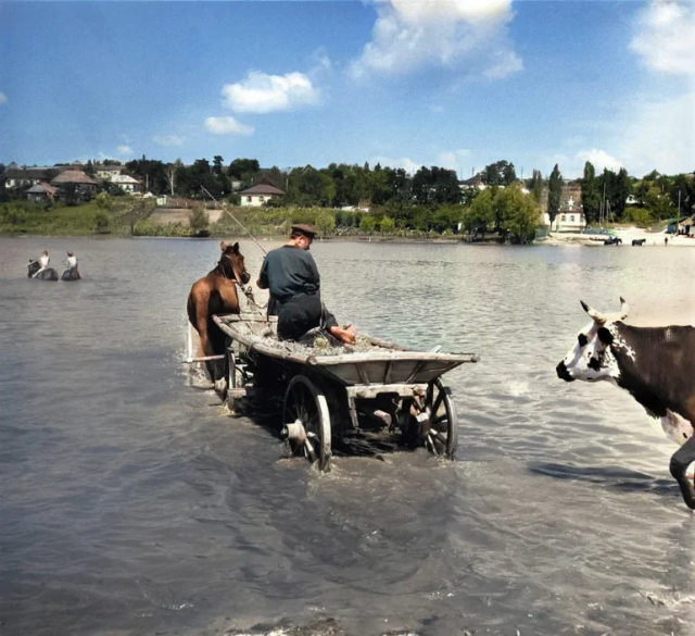 Окрестности Киева. Украинская ССР, 1947 год.