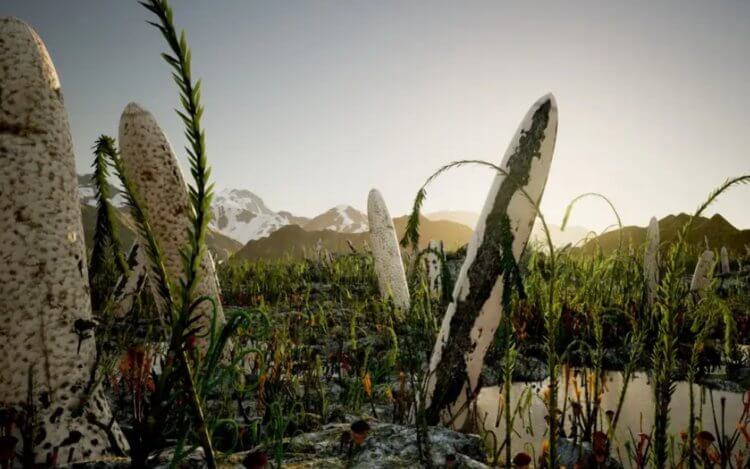 Уникальная структура древнего организма. Ранее ученые считали, что Prototaxites taiti были гигантскими грибами. Источник: newscientist.com. Фото.