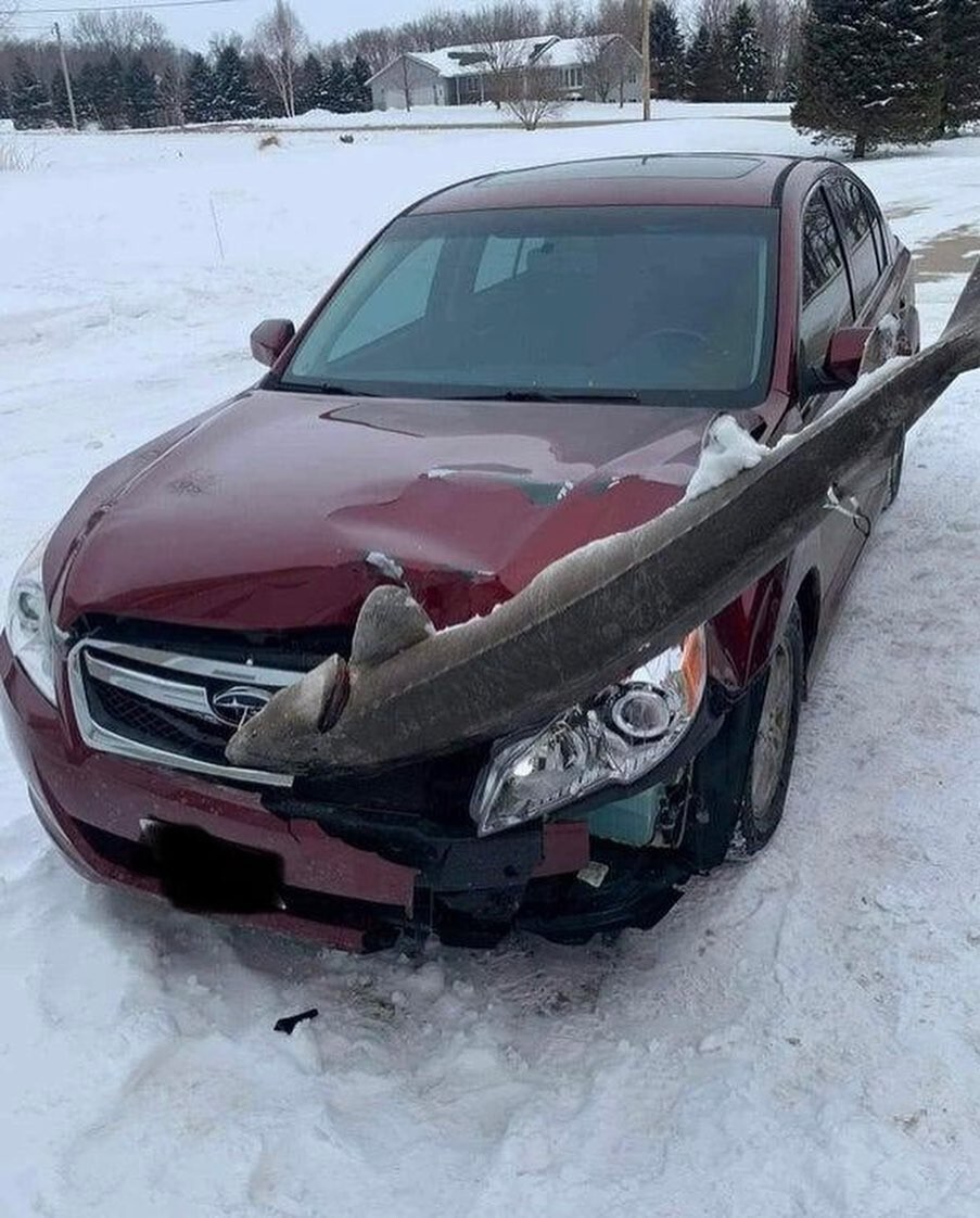 23. Как это произошло?