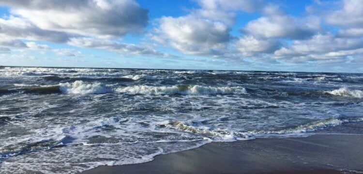 Спячка, длившаяся тысячелетия. Древние микроорганизмы были обнаружены на дне Балтийского моря. Источник: kp.ru. Фото.