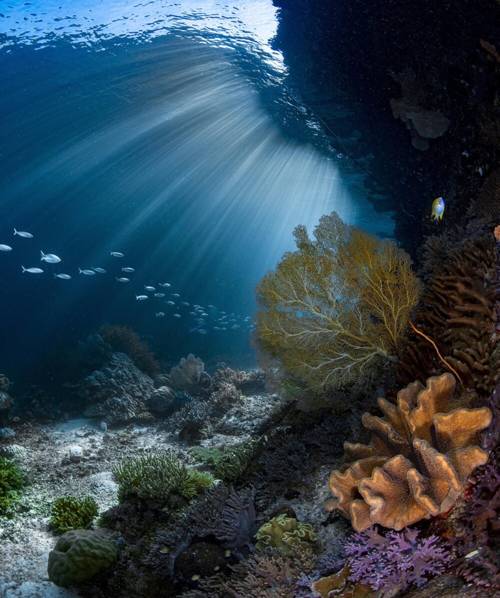 11. Морской пейзаж Индонезии