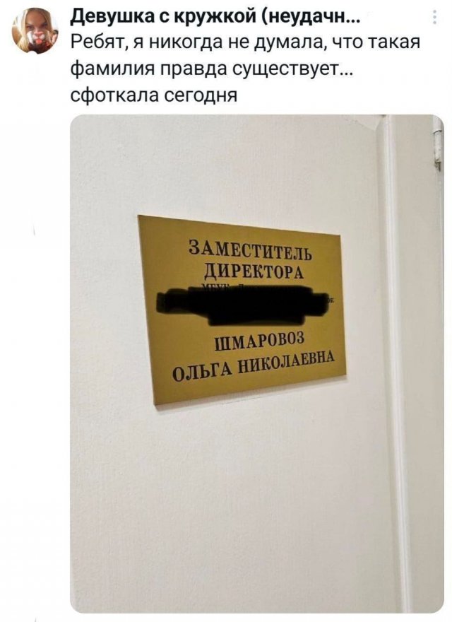 Подборка забавных твитов обо всем