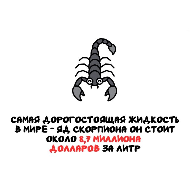 Интересные факты на все случаи жизни