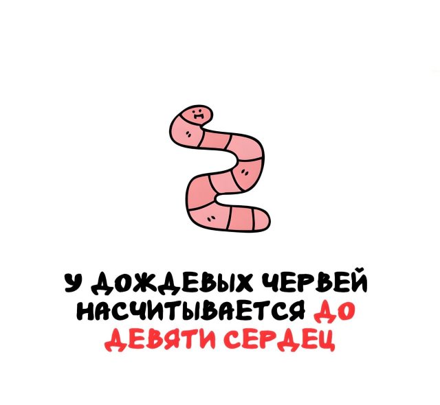 Интересные факты на все случаи жизни